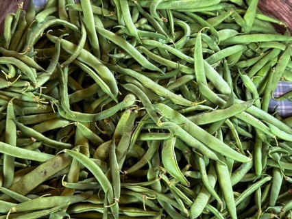 A group of peas exhibited at the Hudac Farm Stand, in Saint Albans, Vermont, New England, USA
