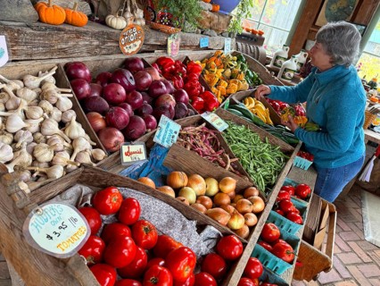 A group of Autumn pumkins and gourds exhibited at the Hudac Farm Stand, Saint Albans, New England,