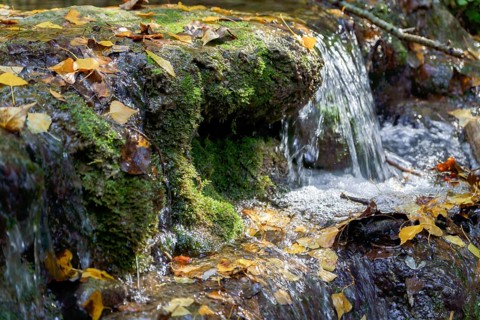 Ronda, malaga, spain Small waterfall cascading over vibrant green moss and fallen autumn leaves on