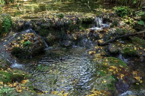 Ronda, malaga, spain Small stream in an autumn forest, water flowing over moss-covered rocks and