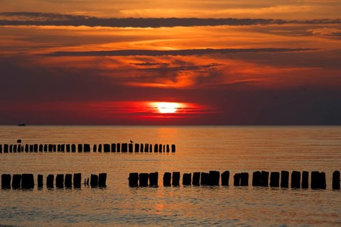 A serene sunset over the sea with wooden groynes and an orange sky, creating a peaceful atmosphere.