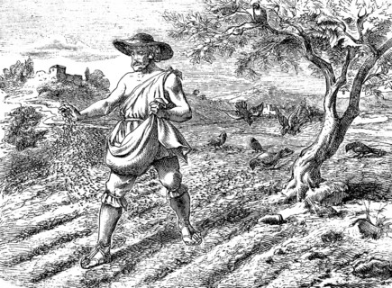 The sower in the field, Gospel of Matthew, chapter 13, farmer, sowing, landscape, agriculture,