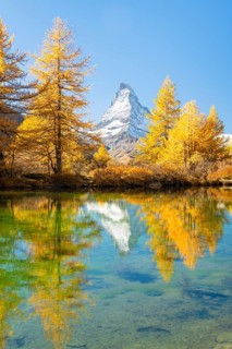 Matterhorn Mountain and Yellow Larches in Autumn on Sunny Day. Reflection in Lake Grindjisee. Swiss