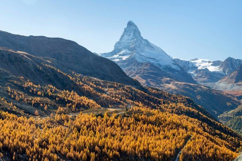 Matterhorn Mountain and Yellow Larches in Autumn on Sunny Day. Swiss Alps. Valais, Switzerland