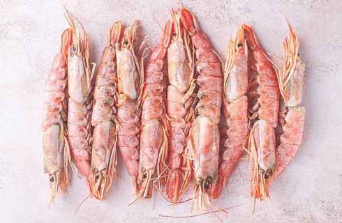 Freshly frozen shrimps, Argentine shrimps, langoustines, neatly laid out on the surface, top view