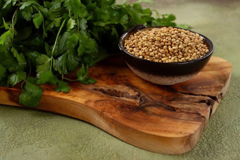 A bunch of fresh cilantro, coriander seeds and bowls, close-up, top view, no people, food and