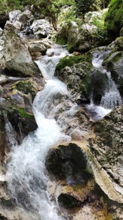 Sunic Water Grove, Lepena Valley, Slovenia