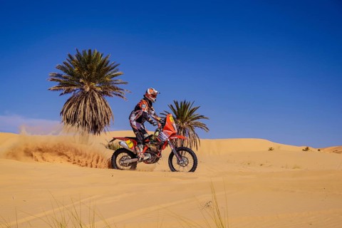 Sahara, desert, Algeria, dune, sand, expanse, landscape, panorama, endless, danger, heat,