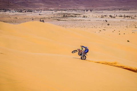 Sahara, desert, Algeria, dune, sand, vastness, landscape, panorama, endless, danger, heat,
