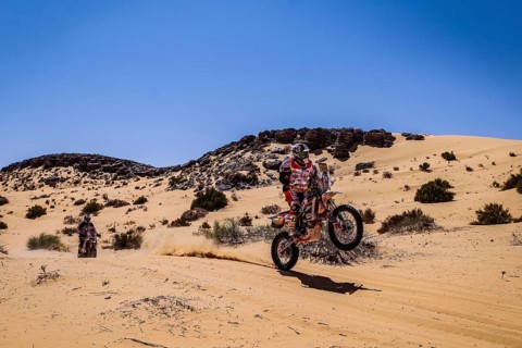 Sahara, desert, Algeria, dune, sand, expanse, landscape, panorama, endless, danger, heat,