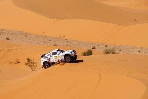 Sahara, desert, Algeria, dune, sand, expanse, landscape, panorama, endless, danger, heat,