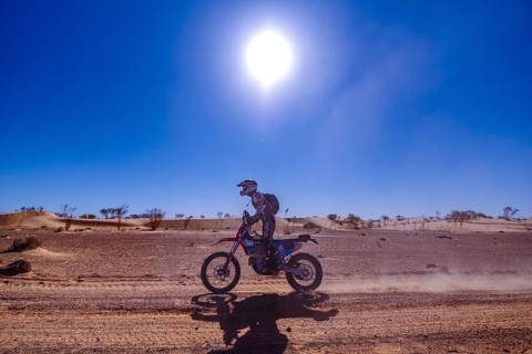 Sahara, desert, Algeria, dune, sand, vastness, landscape, panorama, endless, danger, heat,