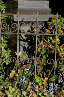 A heritage-protected cemetery near St. Marien Church, Lüdersen mountain village, city of Springe,