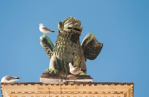 Sculpture of lion detail of San Marco coloumn on San Marco square, Venice, Italy