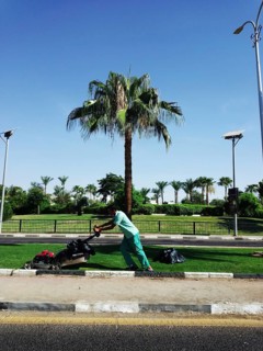 A local Egyptian man works on the infrastructure of a street in the resort town of Sharm el-Sheikh,