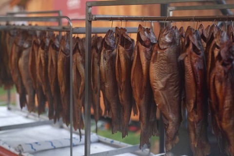 Row of freshly smoked fish, Bavaria, Germany