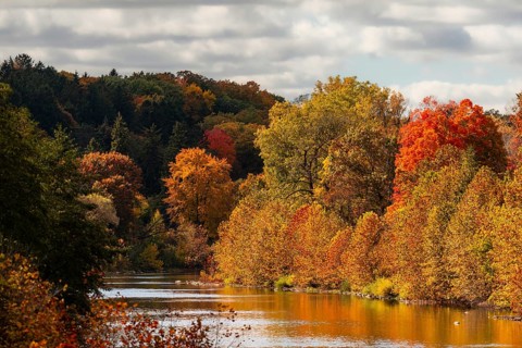 Scenic river surrounded by vibrant autumn foliage under a cloudy sky along the Thames River Valley