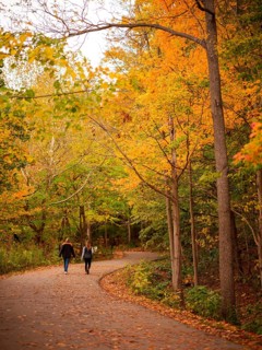 Couple walking on a winding path through a serene forest with autumn colors along the Thames Valley