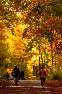 A person cycling and another walking on a trail with vivid autumn colors on the Thames Valley
