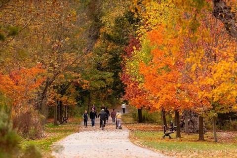 People strolling along a park path surrounded by vibrant autumn trees on the Thames Valley Parkway