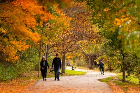 People walking along a tree-lined path covered with colorful autumn leaves on the Thames Valley