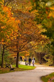 Park path with vibrant autumn foliage and benches, people enjoying a walk on the Thames Valley