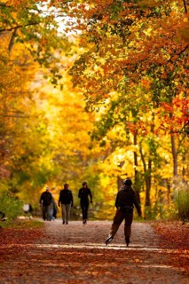 People walking on a forest path surrounded by vibrant autumn foliage on the Thames Valley Parkway