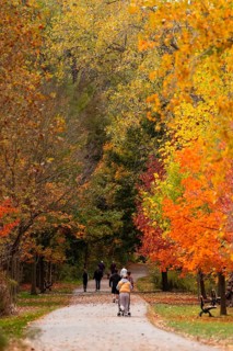 Park path scene with people walking and strollers amidst vibrant autumn foliage on the Thames