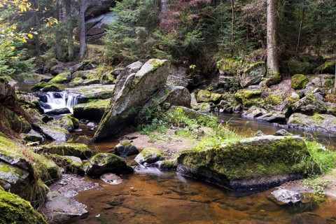 A shallow stream crosses the mossy rocky landscape in a quiet forest, Höllfall Arbesbach