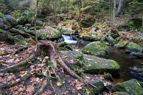 A tree stump lies on mossy stones, surrounded by autumn leaves and a small river, Höllfall
