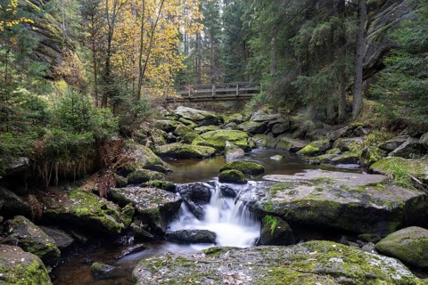 A small waterfall flows over mossy rocks in autumn forest, Höllfall Arbesbach Waldviertel Lower