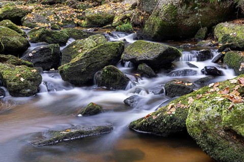 A small stream flows over mossy stones in the autumnal forest, Höllfall Arbesbach Waldviertel Lower