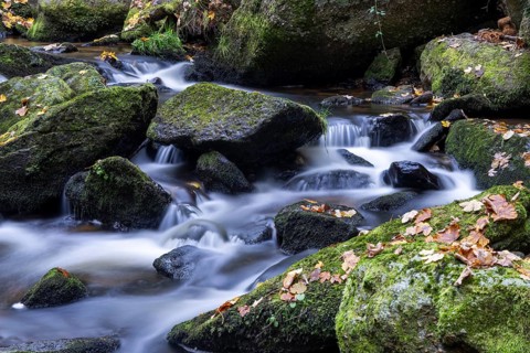Flowing water over moss-covered stones surrounded by autumn leaves in the forest, Höllfall