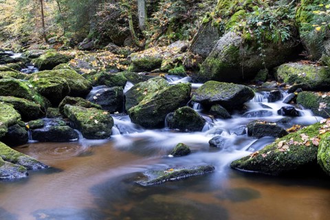 A stream flows peacefully over moss-covered stones in the autumnal forest, Höllfall Arbesbach