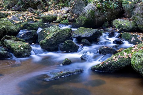 Flowing water over moss-covered stones in a quiet forest, surrounded by autumn tones, Höllfall