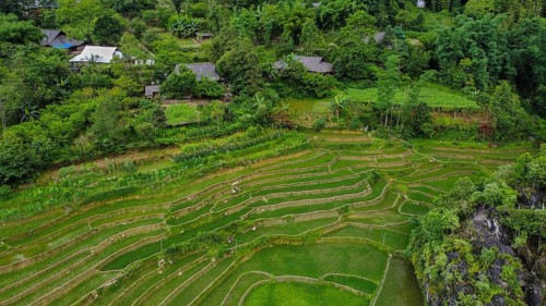 A drone view of rice terraces and a stream in the mountains of Sa Pa, Vietnam, Asia