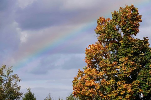 Rainbow, autumn time, Germany
