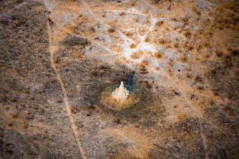 Savanna landscape with yellow grass and termite hills, aerial view, Okavango Delta, Botswana