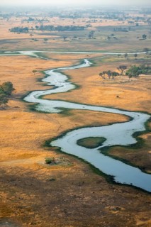 River landscape, idyllic river course with flocks of animals, savanna, aerial view, Okavango Delta,