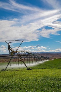 Alcova, Wyoming - Sprinklers water a crop growing in the Wyoming desert. Water in this otherwise