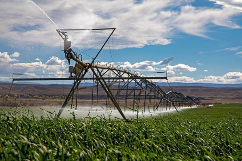 Alcova, Wyoming - Sprinklers water a crop growing in the Wyoming desert. Water in this otherwise