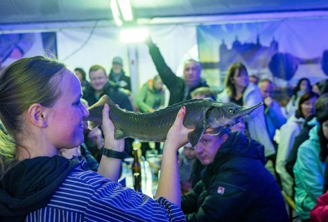 Moritzburg Fish and Forest Festival, fish auction for Albert Schweitzer Children's Village