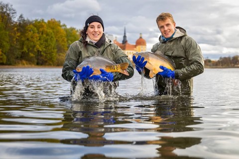 Fish and forest festival. Marieluise Greitner and Kevin Kreutz from Teichwirtschaft Moritzburg keep