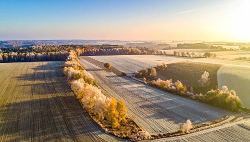 Bird Eye Perspective of Frost Covered Farmland. Seasonal Agricultural Scenery, winter and autumn