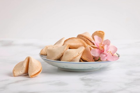Fortune cookies in a Chinese bowl with a pink flower against a white background