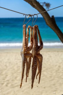 Octopus is dried in the sun, Naxos, Cyclades, Greece