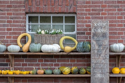 Autumn pumpkin decoration on a wooden shelf in front of a brick wall with handwritten list of