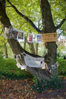 Installation on feminicides, reminder, violence against woman, memorial site, plane tree alley on