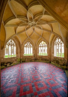 Loop star vault, interior view, Bebenhausen Abbey, former Cistercian Abbey, monastery complex,
