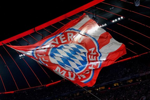 Flag, flying under stadium roof, logo FC Bayern Munich, FCB, Champions League, Allianz Arena,